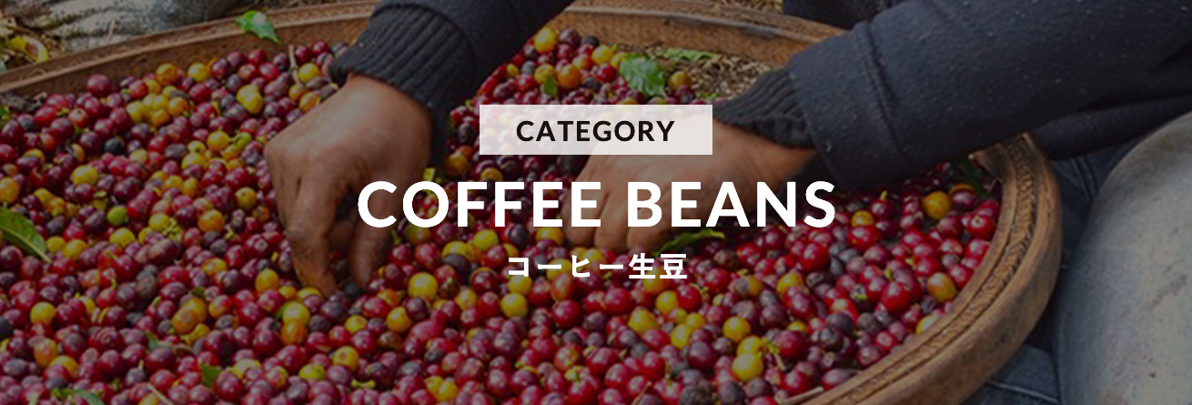 コーヒー生豆