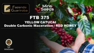 FTB375